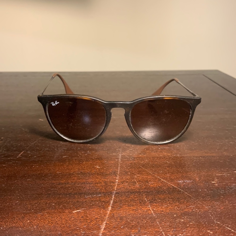 Ray Ban Erika Sunglasses
